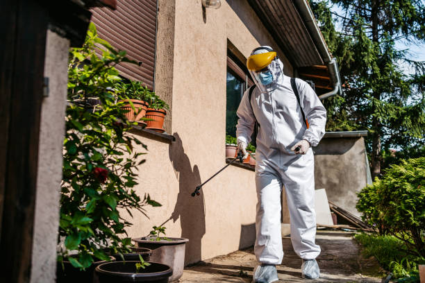 Best Rodent Control Near Me  in Meadow Oaks, FL