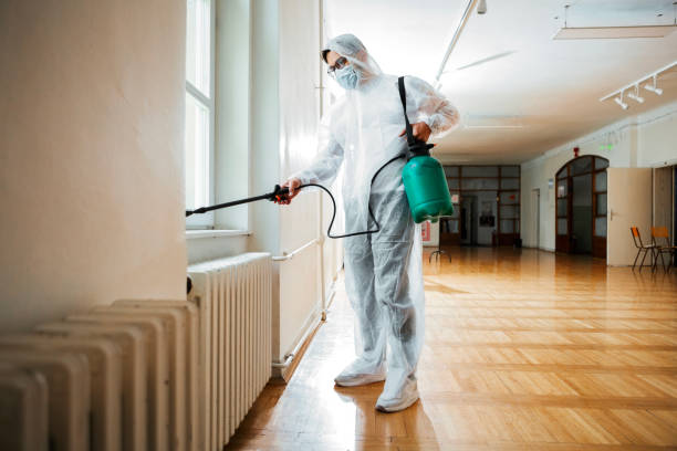 Best Rat Extermination Near Me  in Meadow Oaks, FL