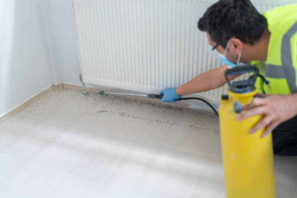 Best Pest Control Near Me in Meadow Oaks, FL