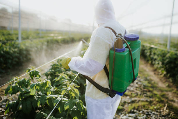 Best Cockroach Control Services  in Meadow Oaks, FL